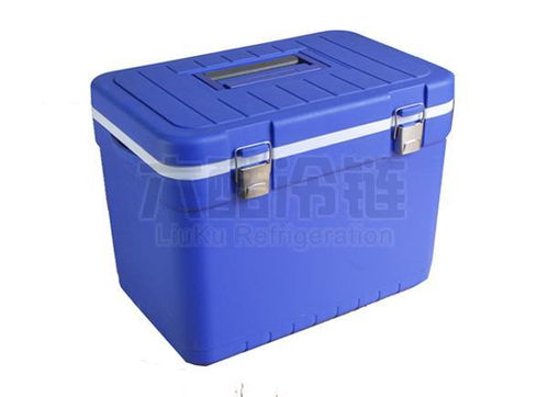 制冷大市場 保鮮設備產(chǎn)品供應與行業(yè)趨勢解析